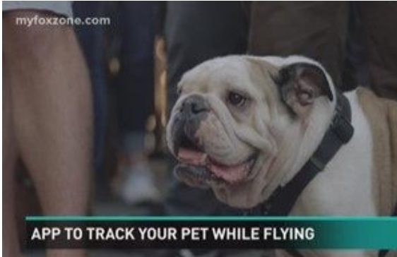 airline pet tracker